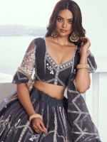 Dark Grey Butterfly Net Lehenga Choli